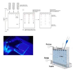 Снимок экрана 2025 06 19 173638