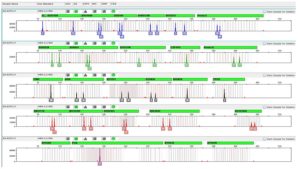 Снимок экрана 2025 06 19 173854