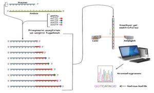Снимок экрана 2025 06 19 173945